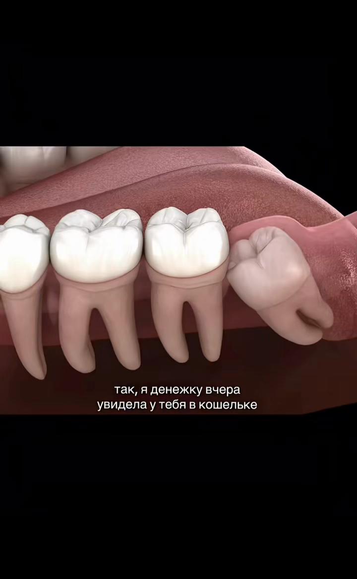@lil.plombir