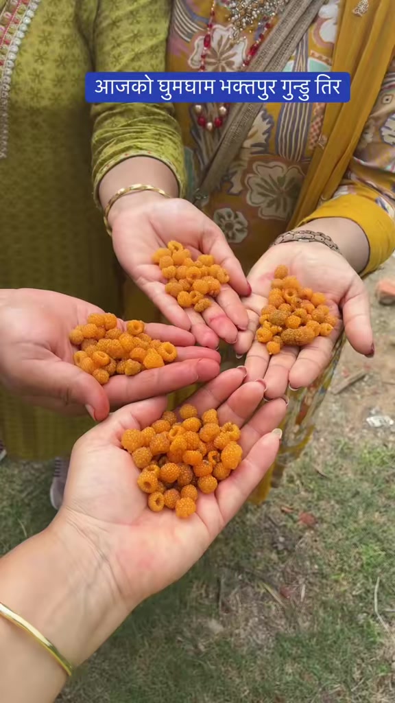 @Anita paudel