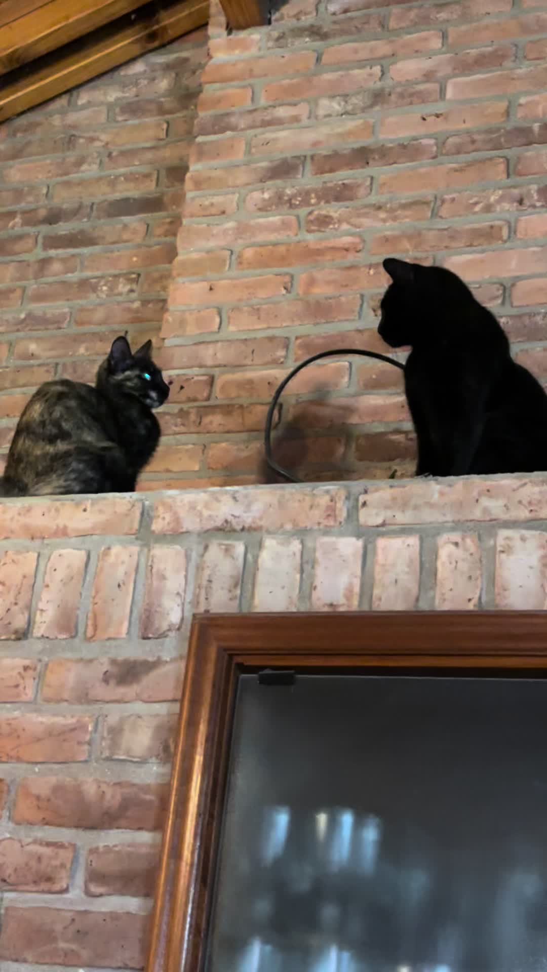 @agusstinnag8