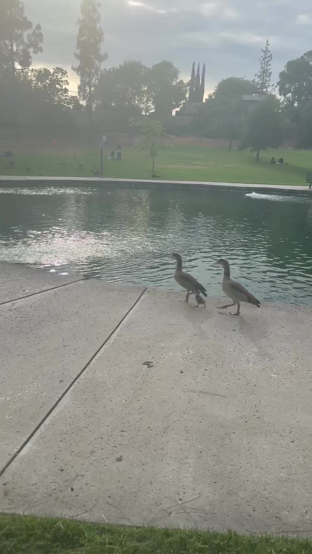 @Deina بنت الرب