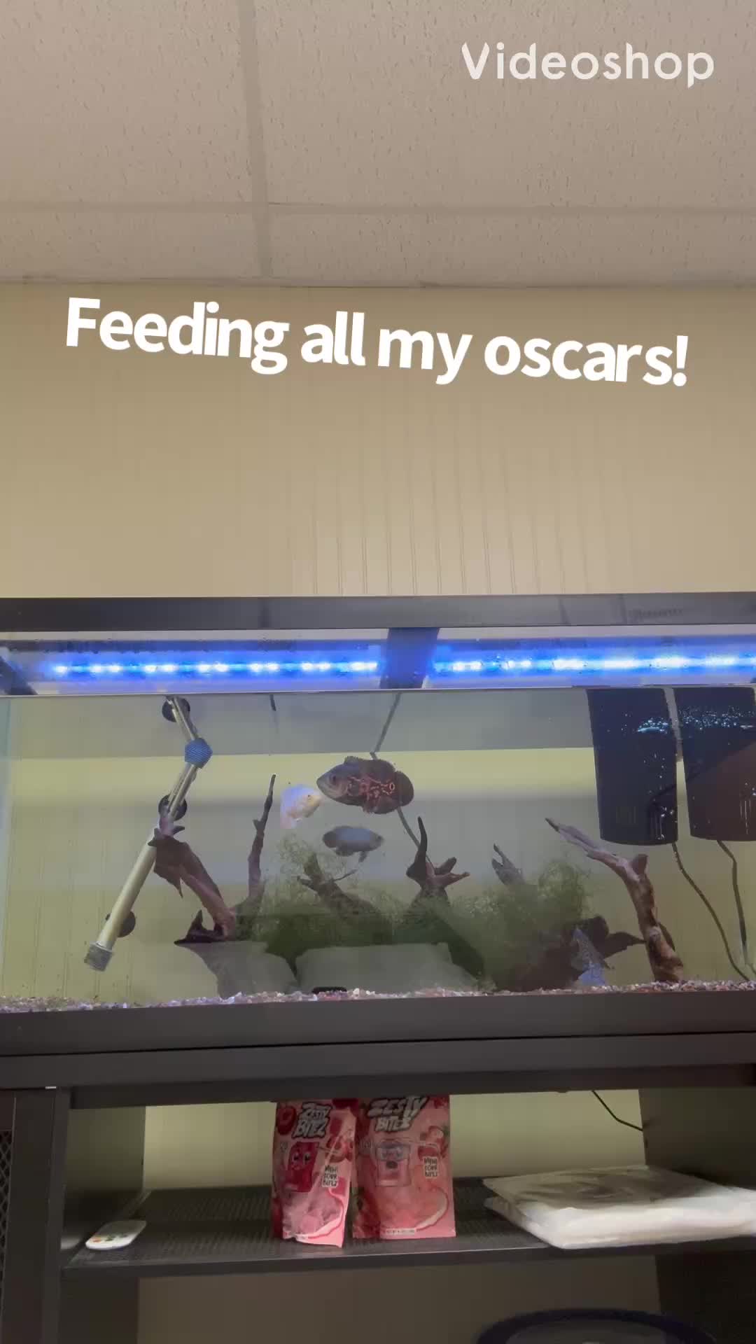 @fishdaddy2002