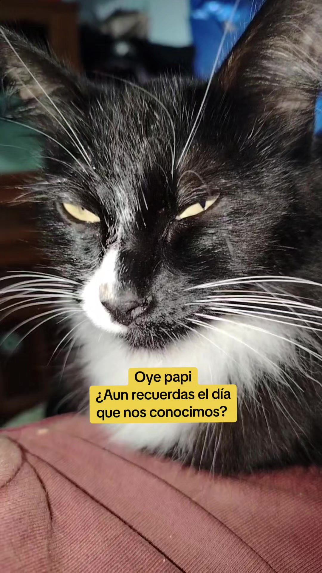 @UrHiel Sosa 🌈