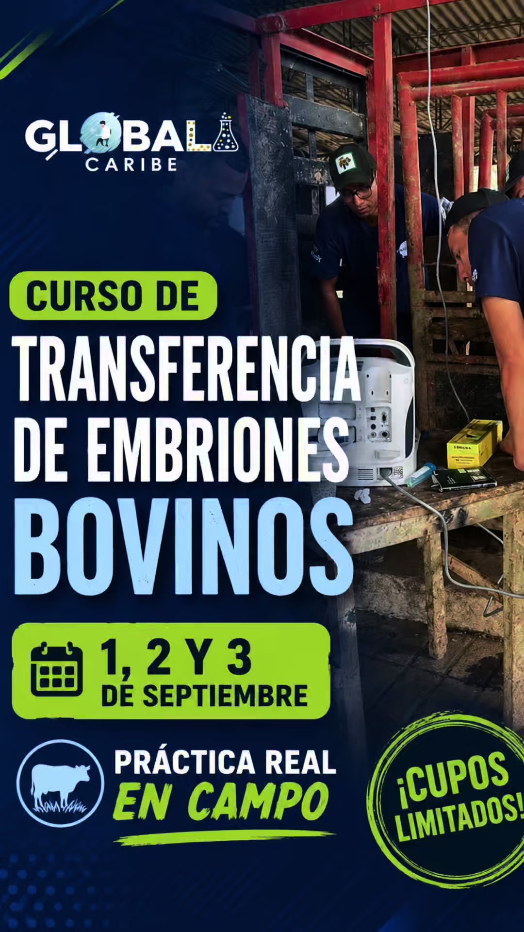 @Global Caribe