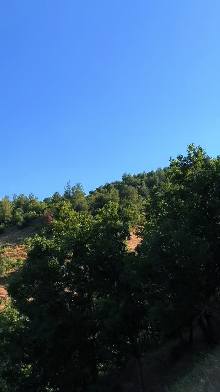 @A.K 