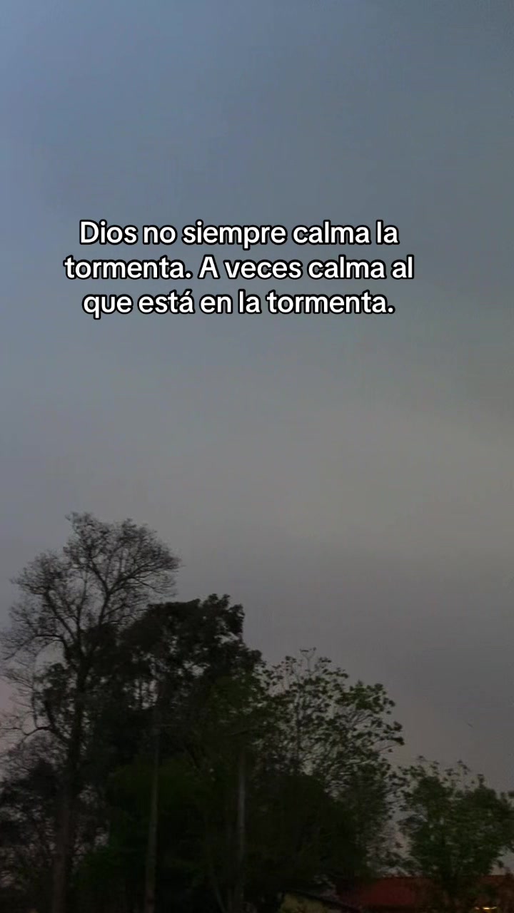 @Javier Rojas Jim&eacute;nez
