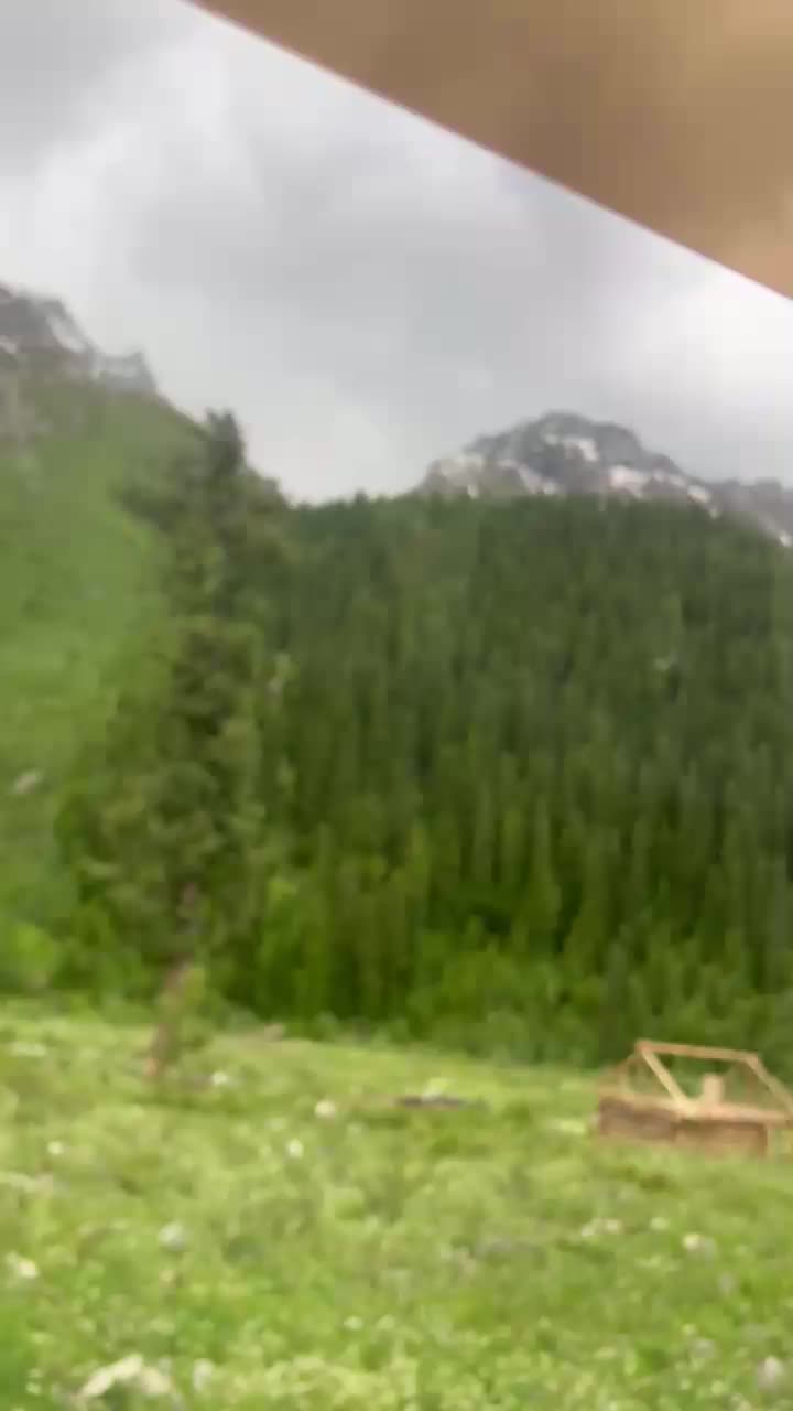 @moazam ali 4691