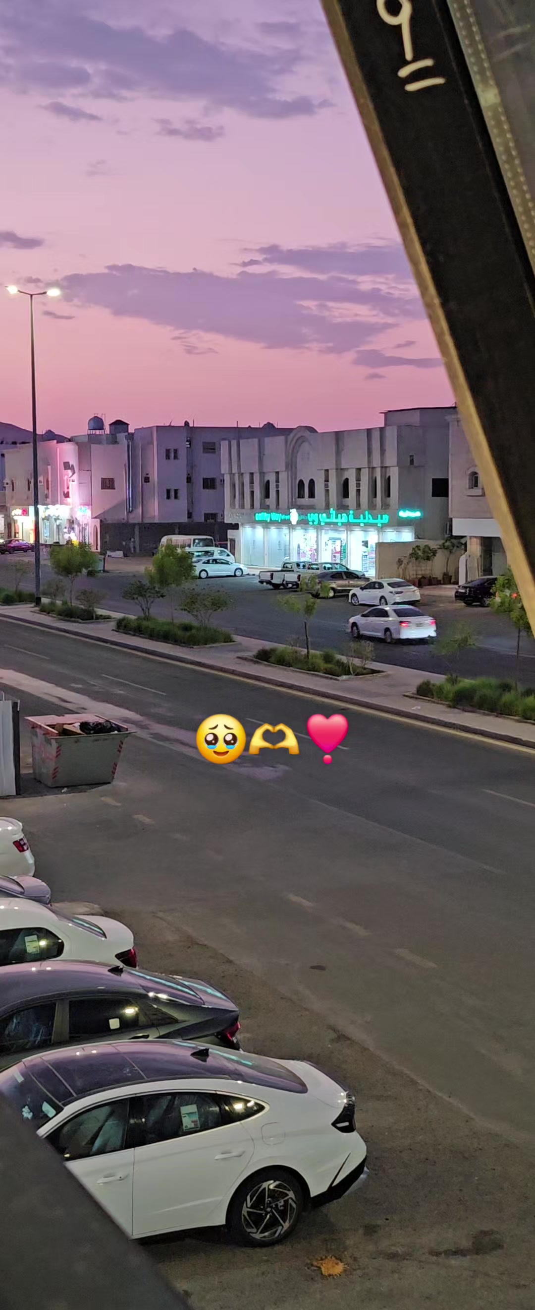 @🍂 اقصیٰ 🍂