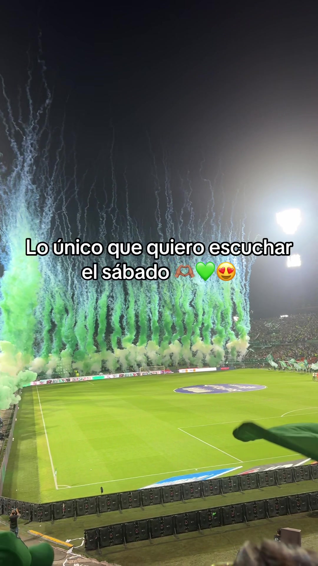 @Sariscard