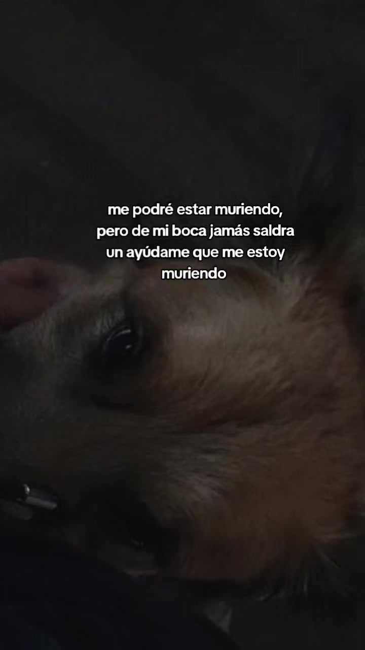 @lunita