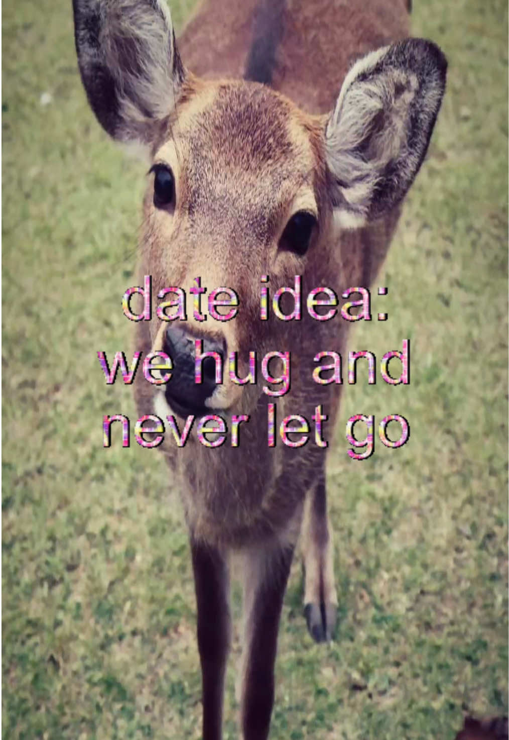 @livinlikedis