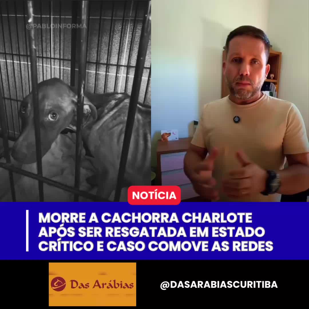 @Pablo Informa