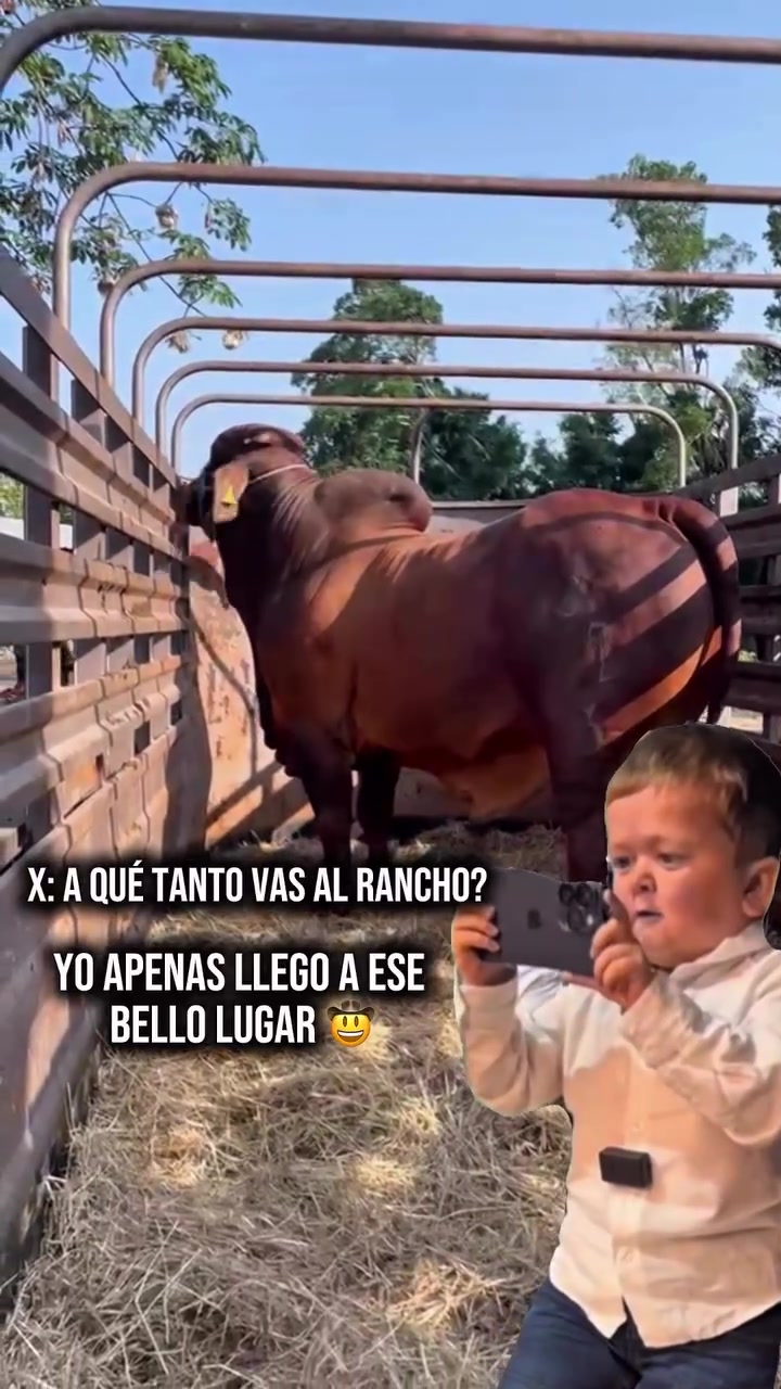 @Rancho Piedra Nube