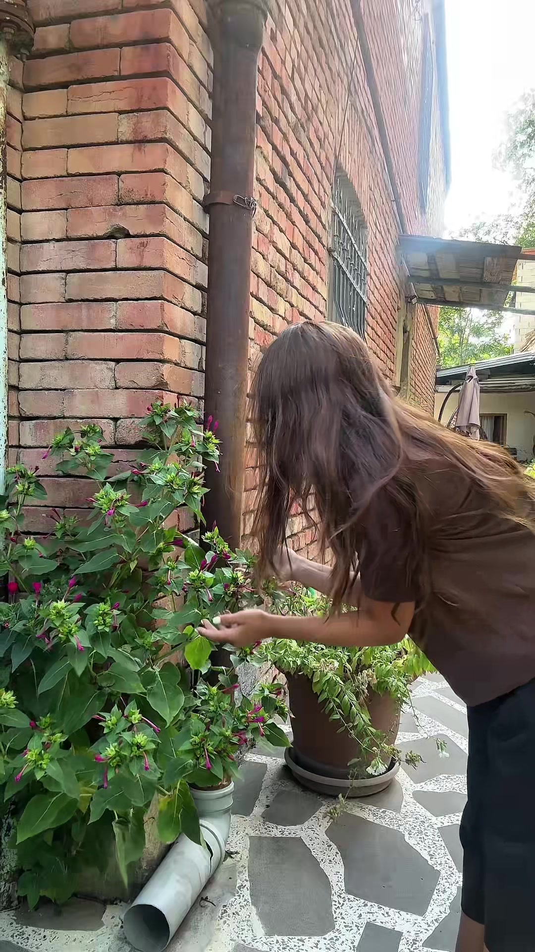 @anukapetriashvilii