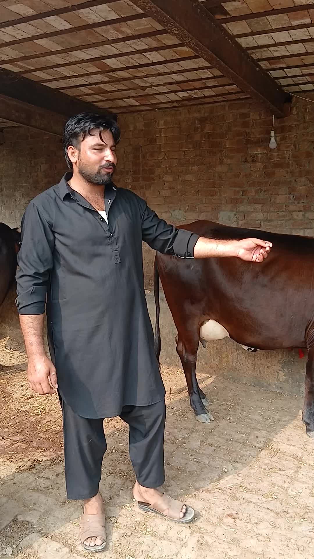 @Farming and Business Ideas