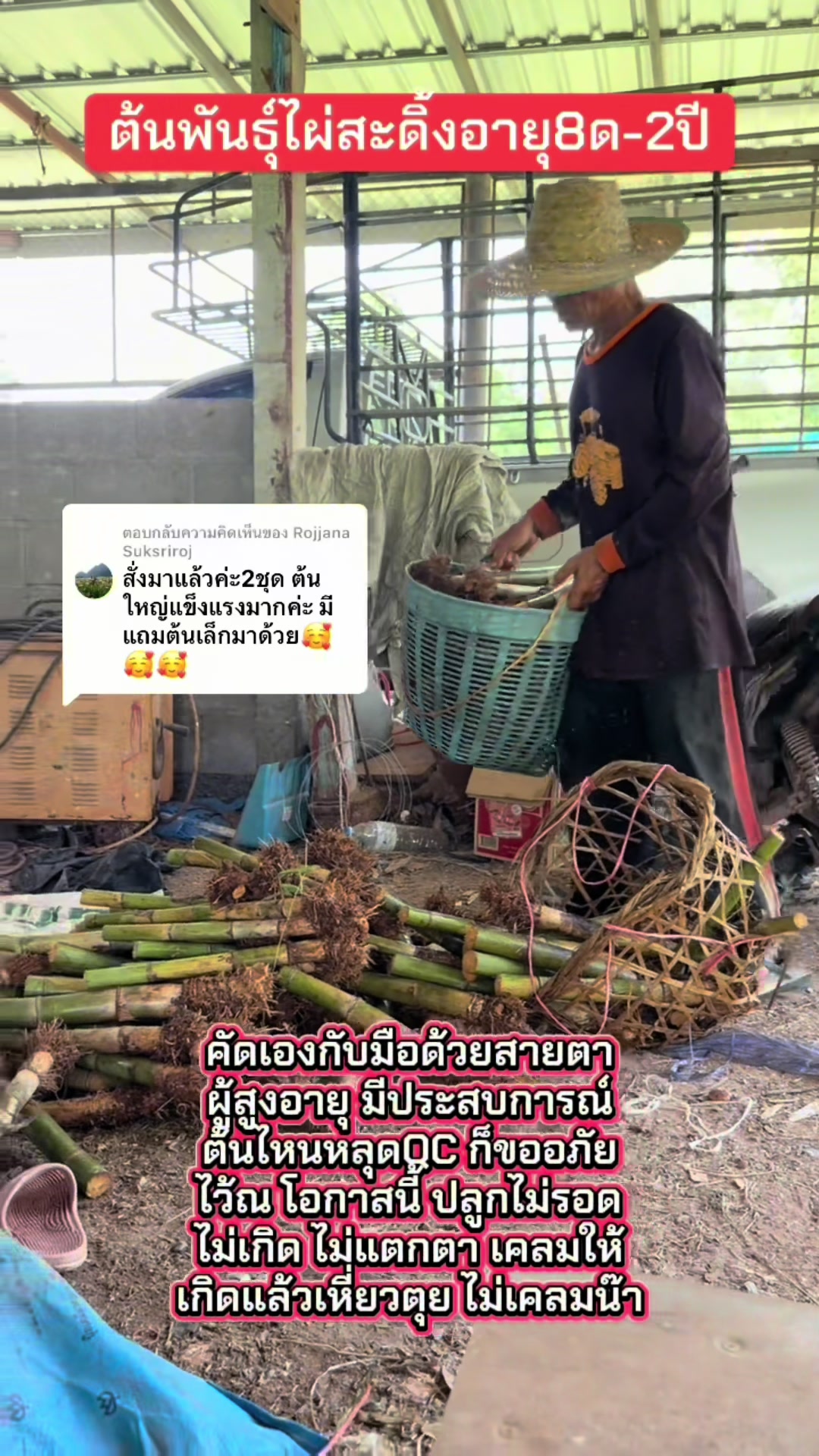 @นัดดาชอป