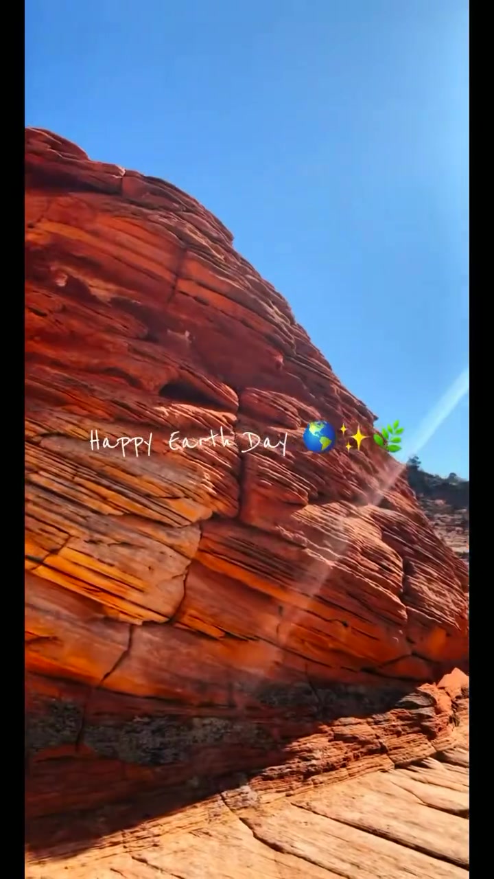 @Morgan Elizabeth✨🧿