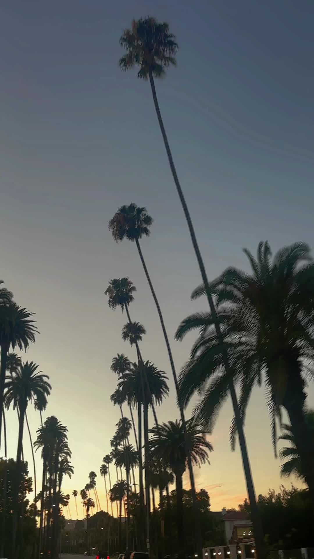 @Gio