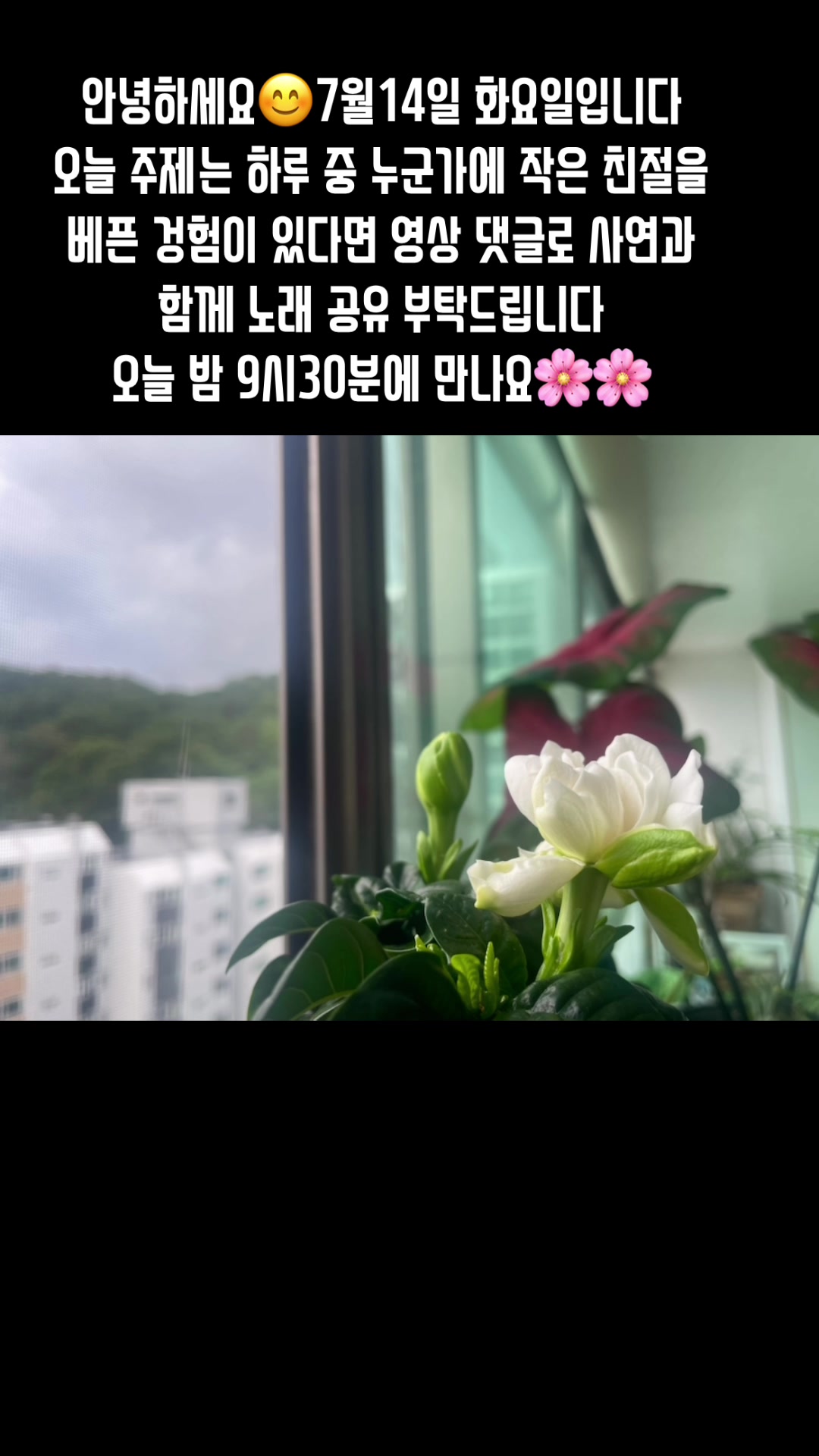@🪴줄리애쉬