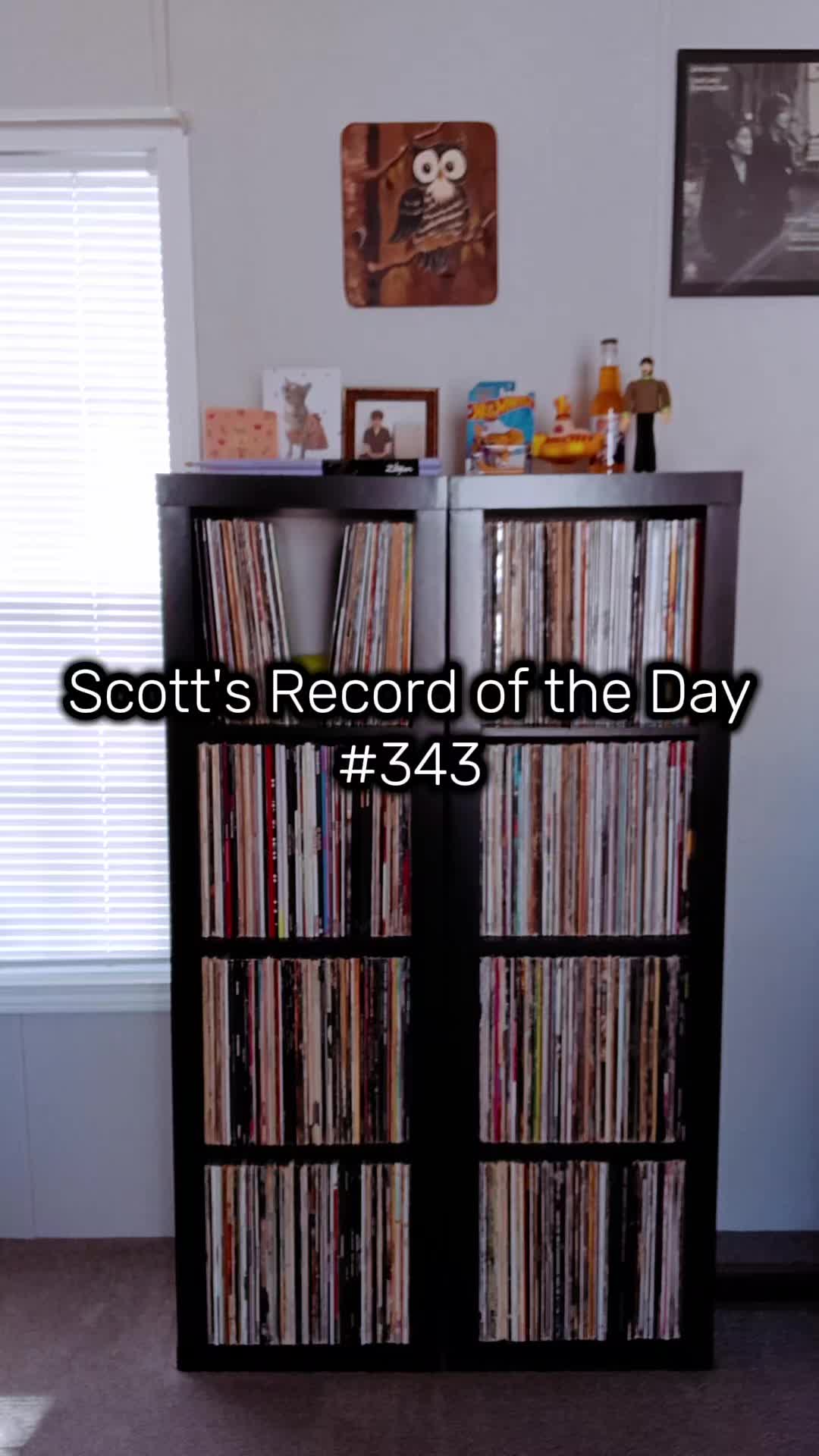 @Scott Reed ❌️