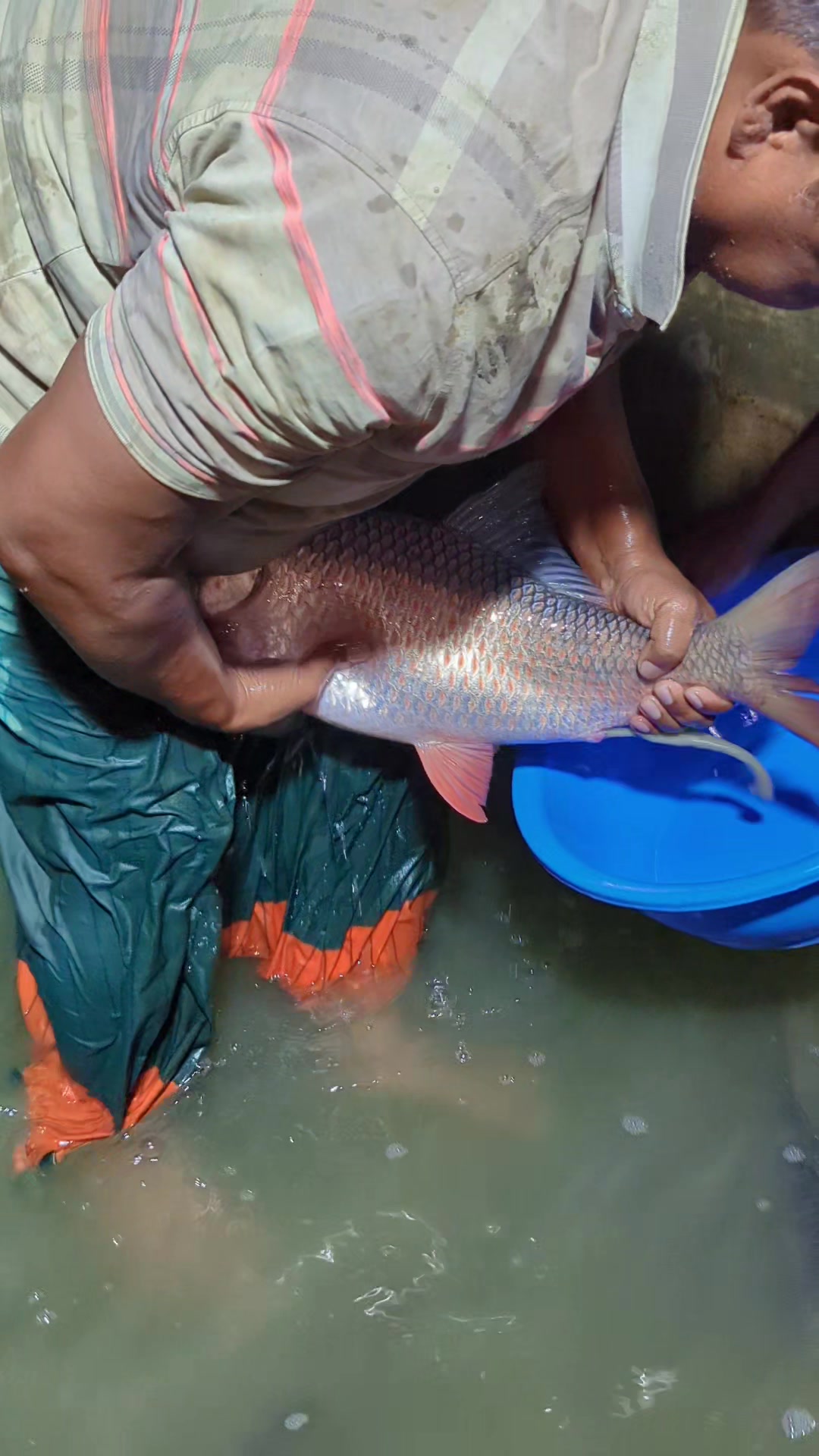 @Fish Lovers Bangladesh