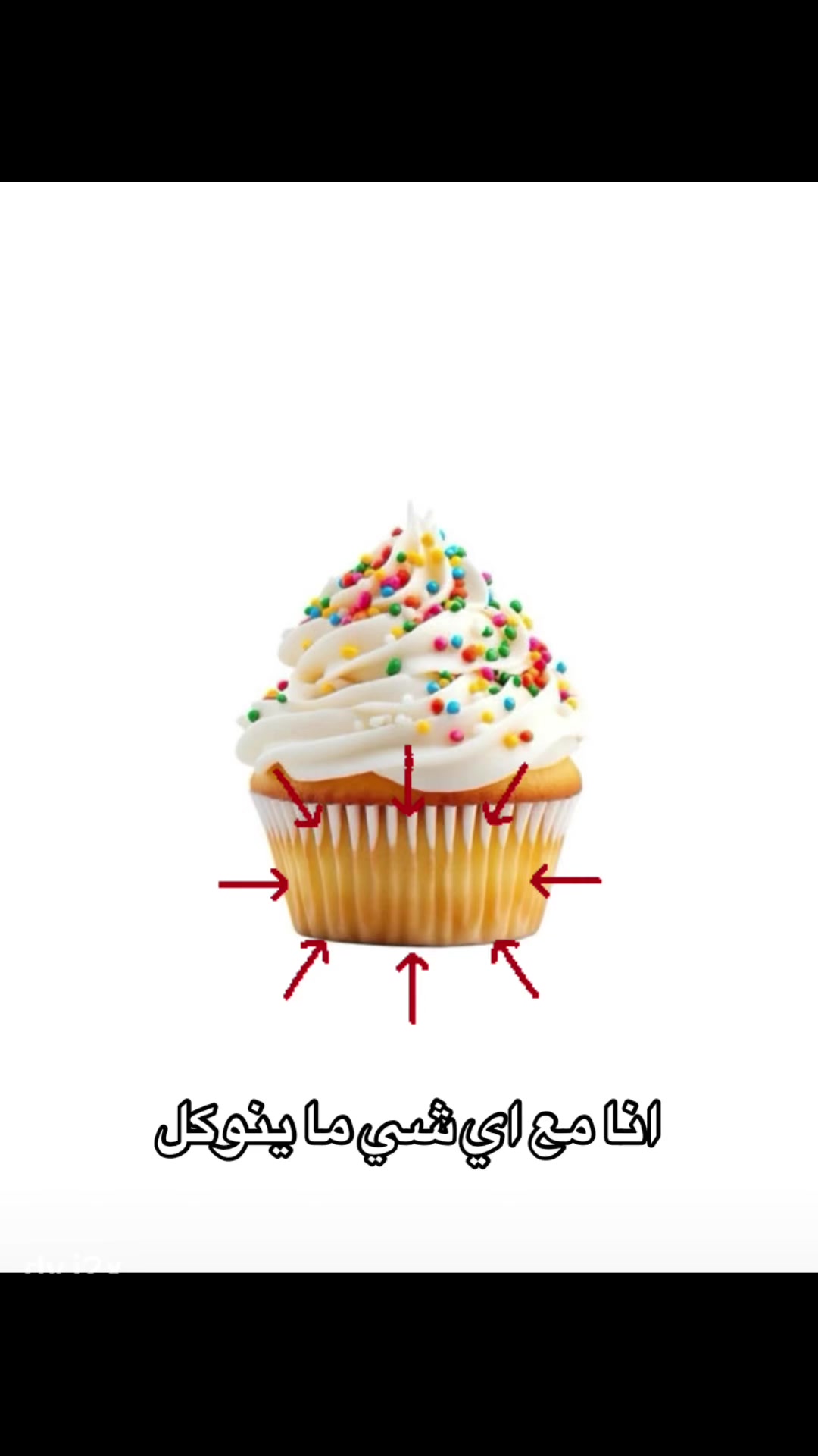 @انسانه تحب التوست >⩊<