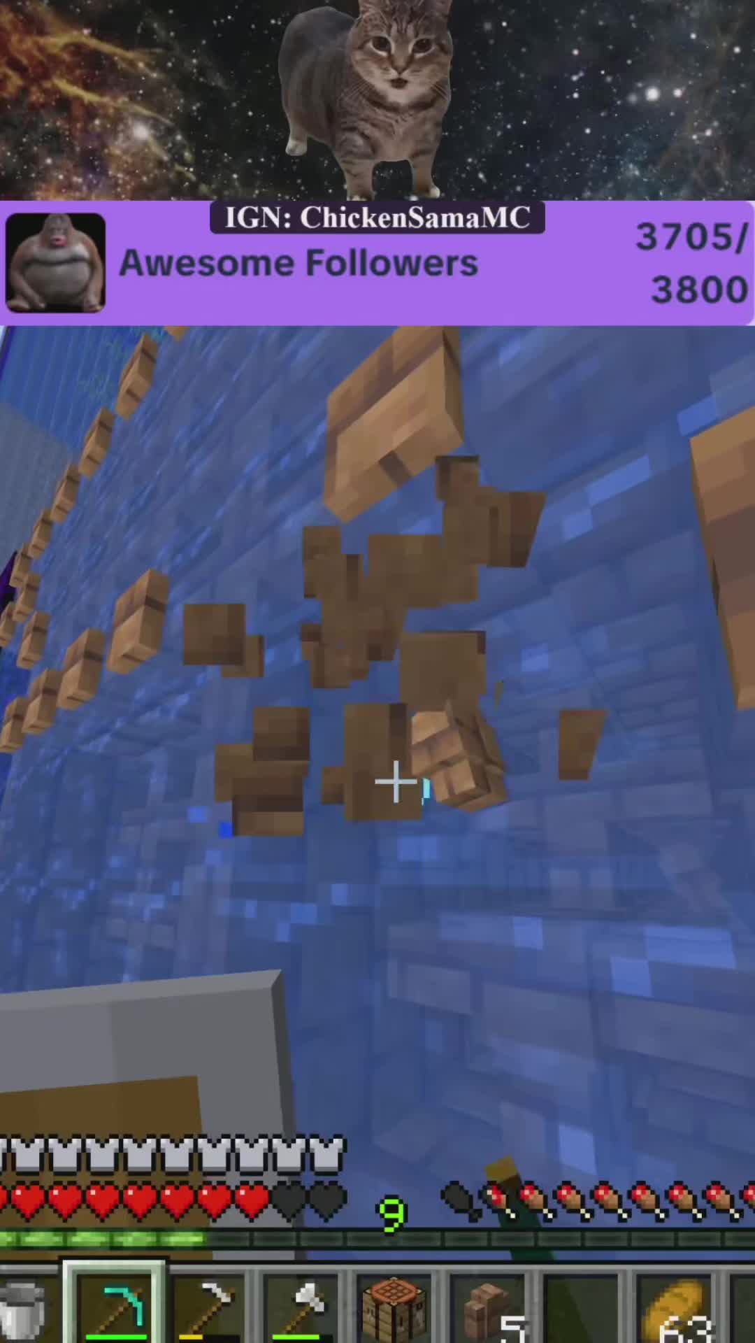 @ChickenSama
