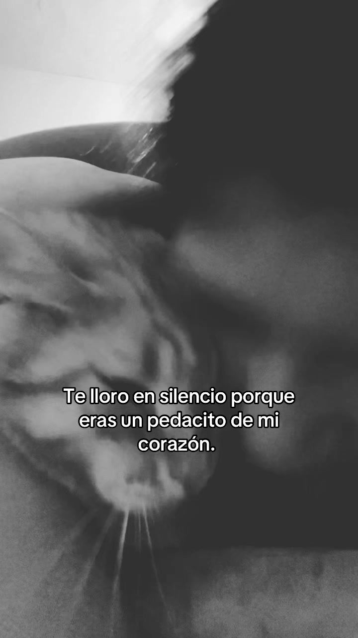 @⊹ ࣪ ˖ Anétte ⊹ ࣪ ˖
