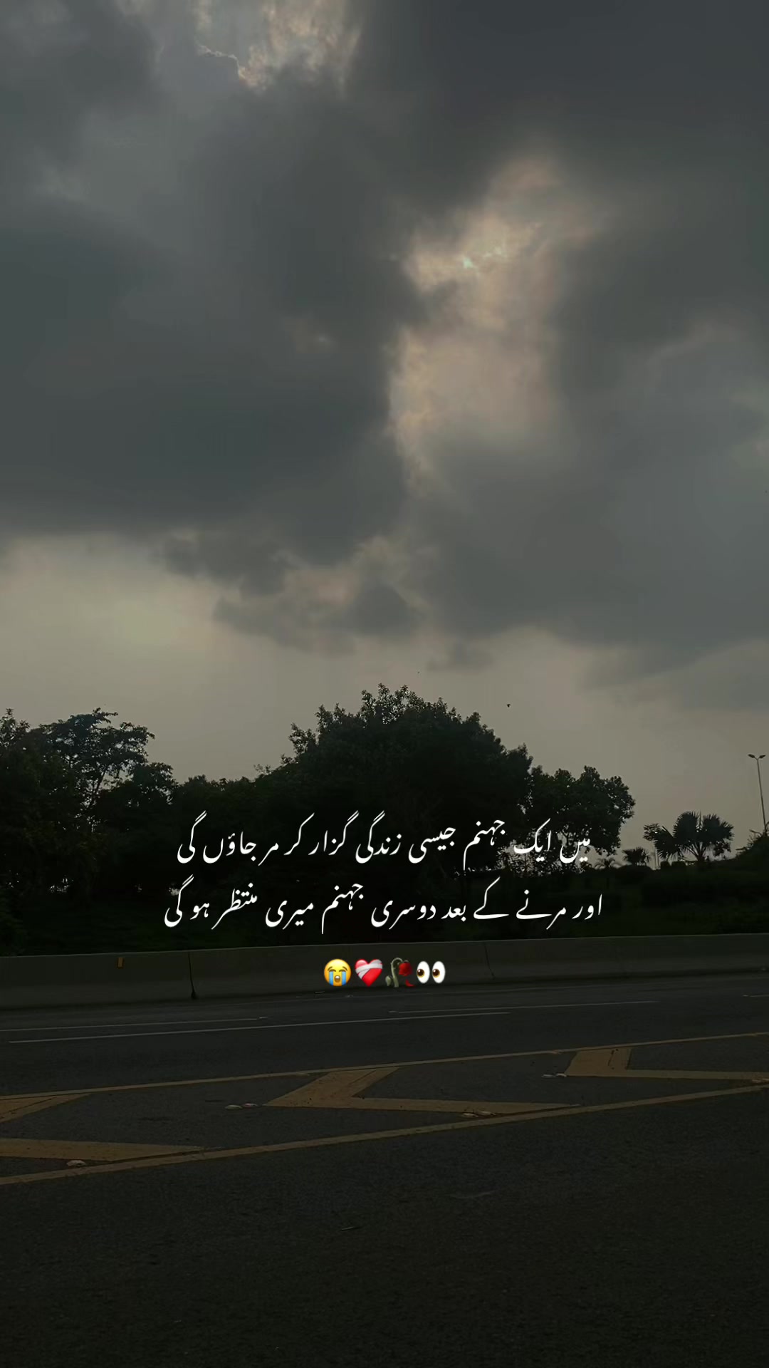 @🕊️♥️🥀