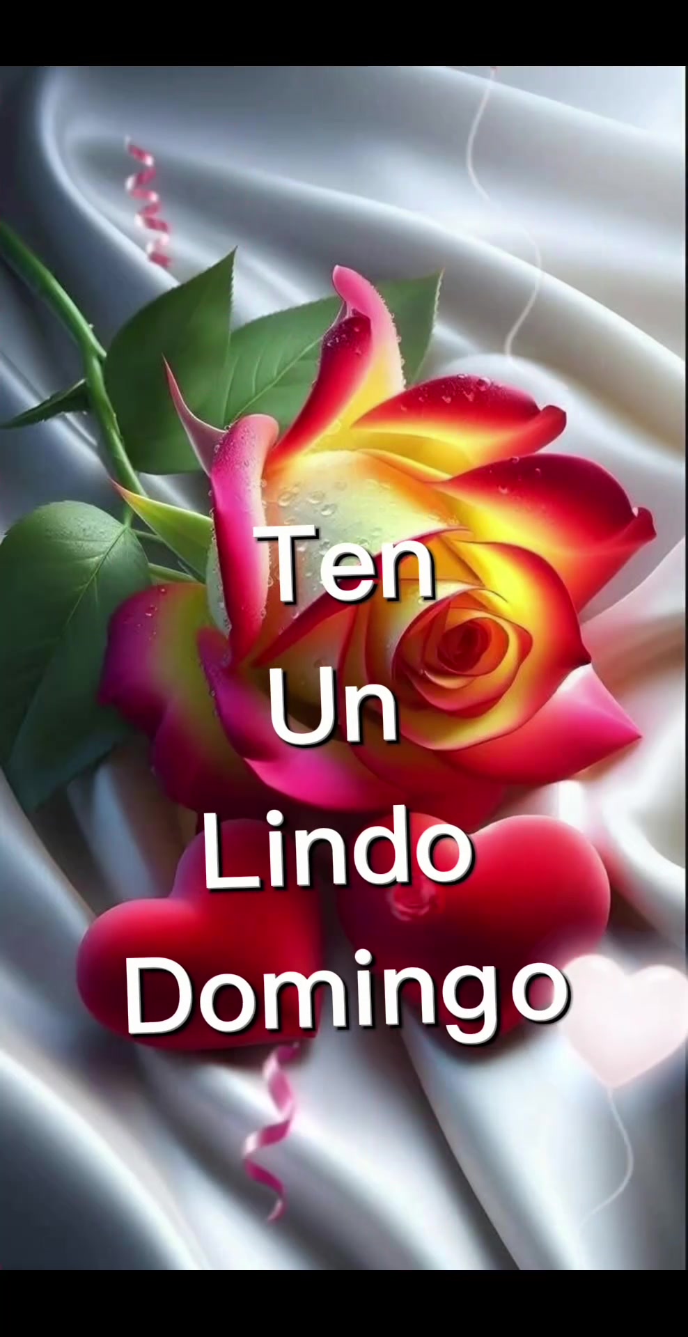 @✨ISABEL HERNANDEZ ✨