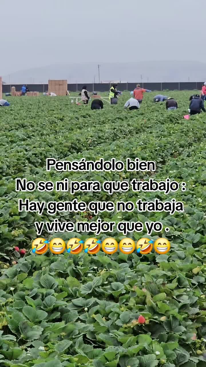@🇲🇽🐦⬛🪺VASQUEZ🚚🌪💎