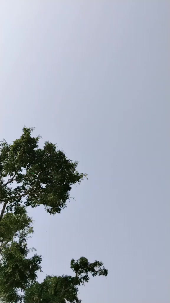 @ruksu