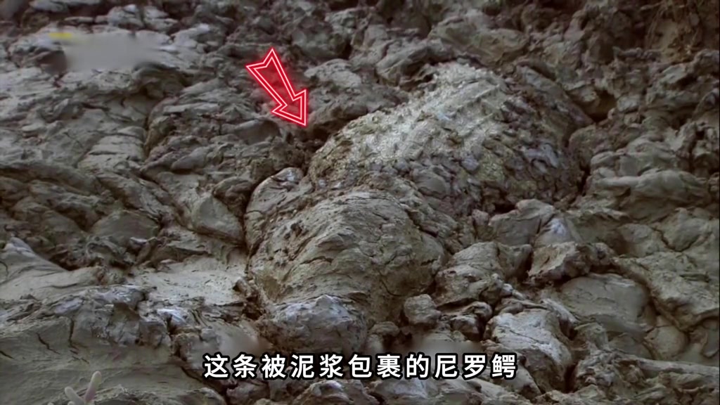 @神秘解碼