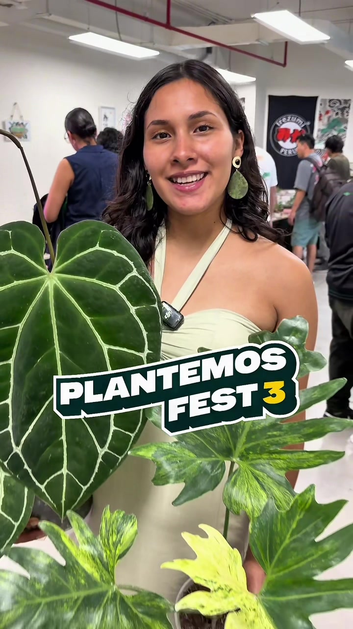 @arianacarrascolopez