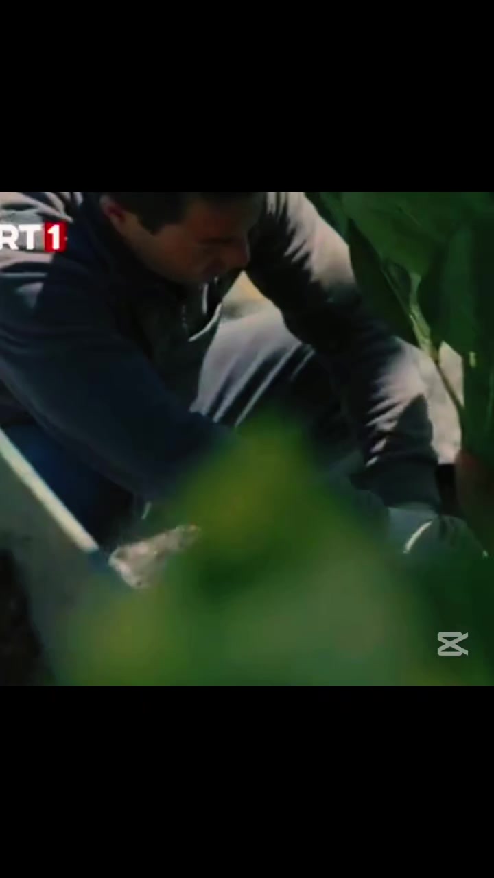 @Dizi_aşkıı