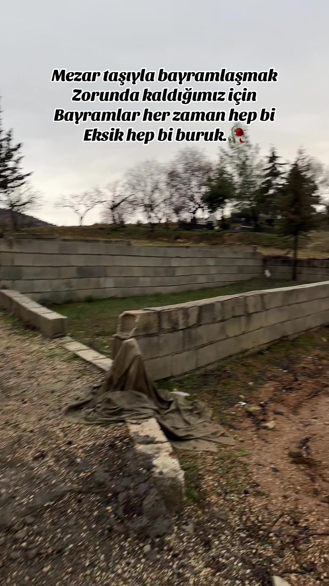 @̶A̶L̶İ̶Ş̶
