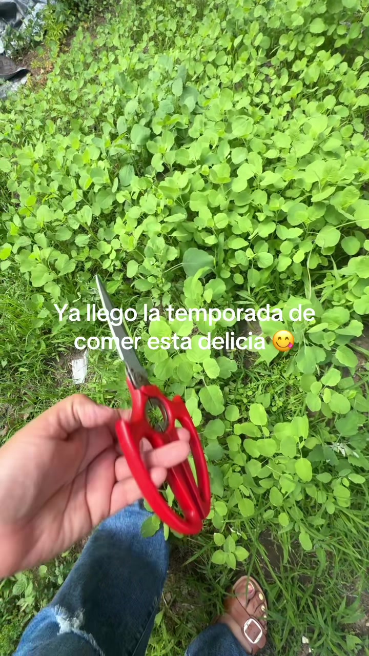 @Eli🪬🧿