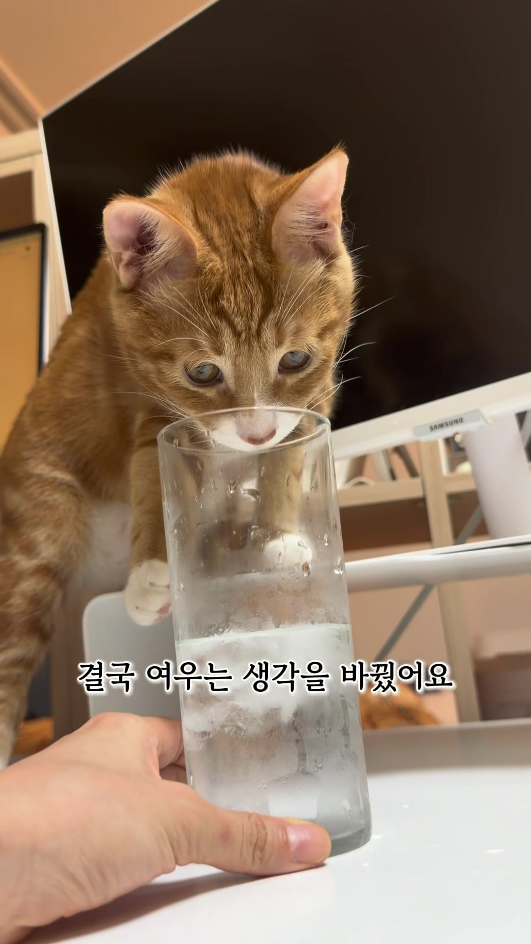 @뮤춘삼