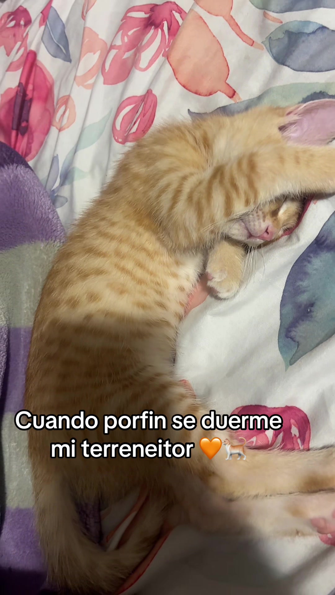 @Angie Isabelli