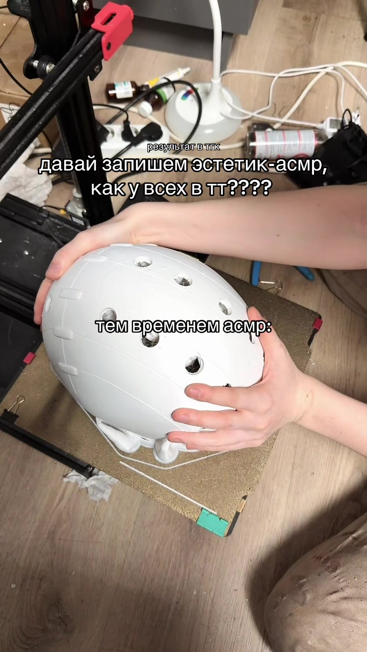 @тгк vivien & meowmulia˚✧₊