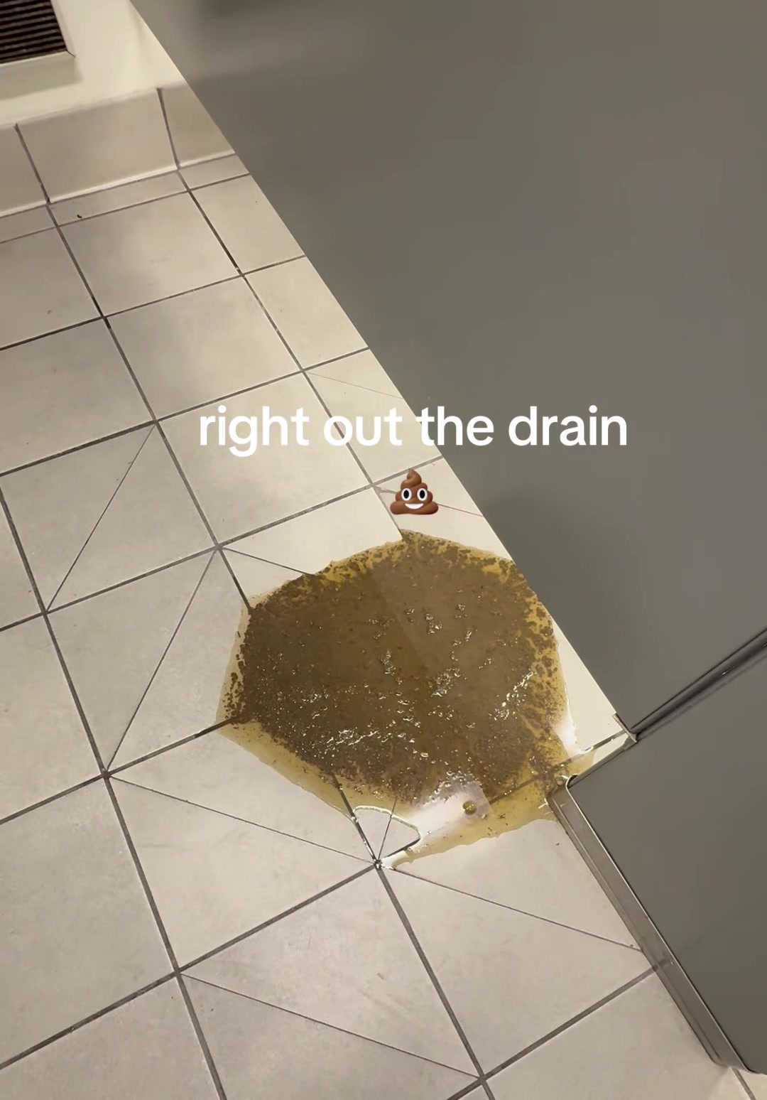 @sewerspaidforit