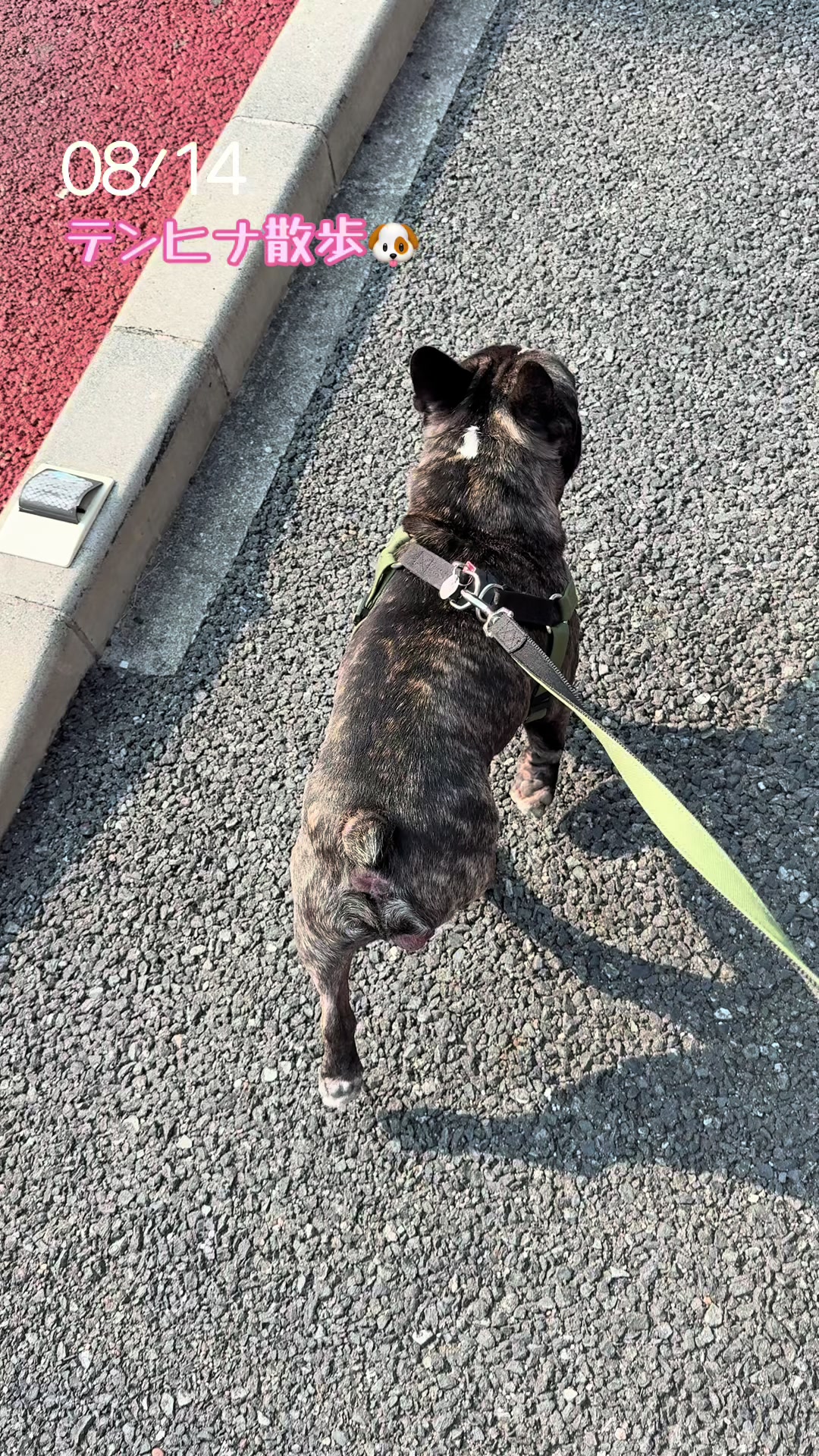 @遮那😎⚡️🐾