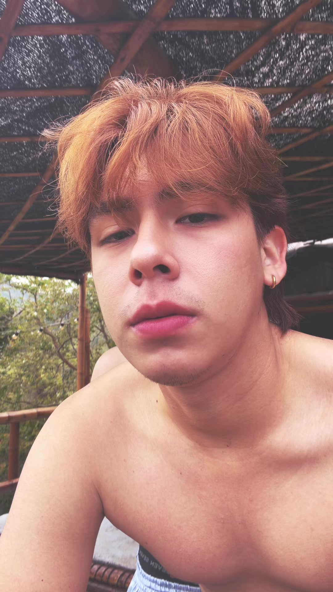 @darwinmiau