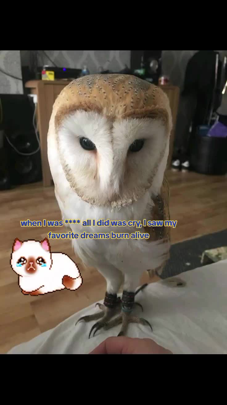 @тайлер сочный