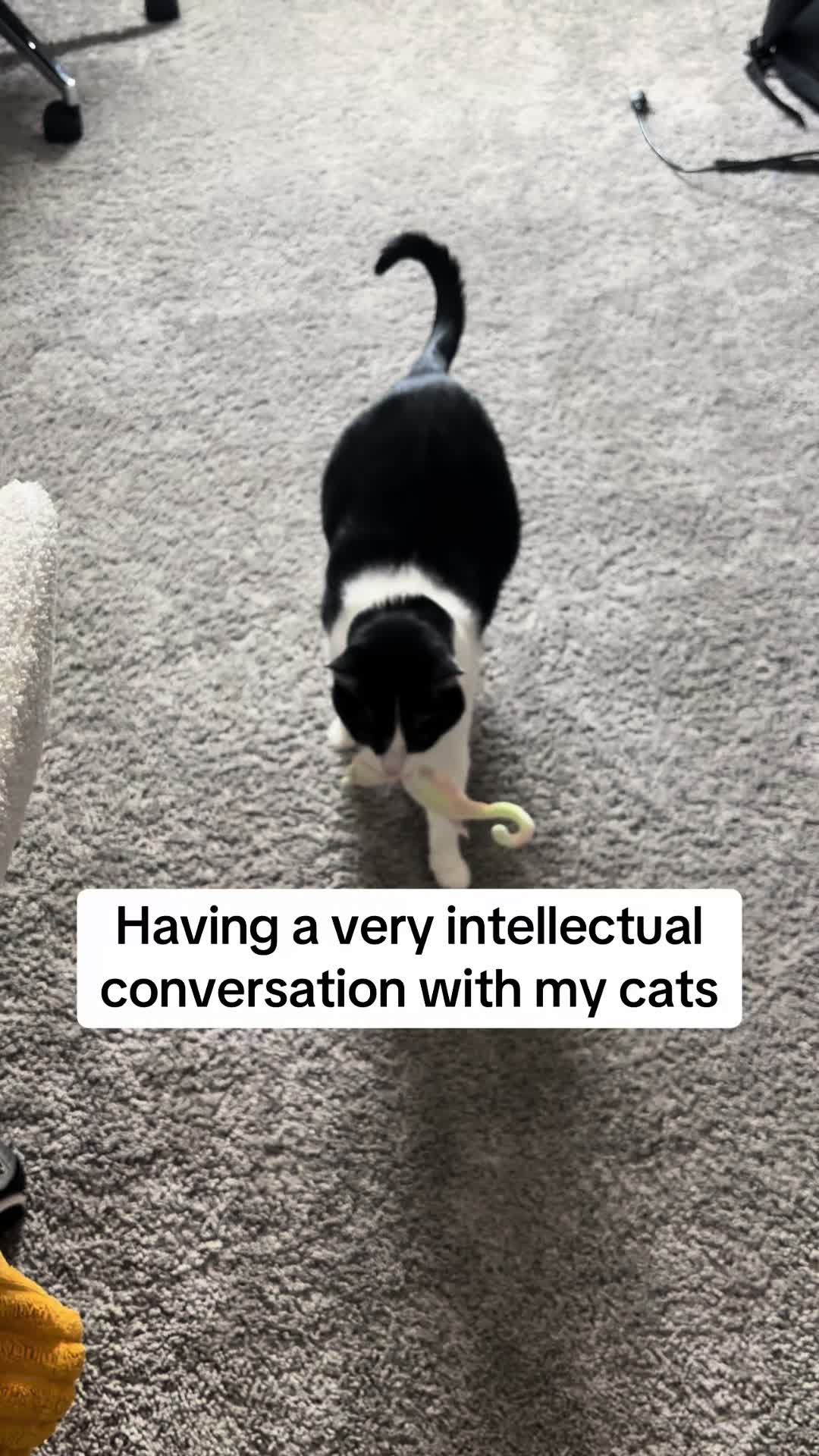 @HarunMTG