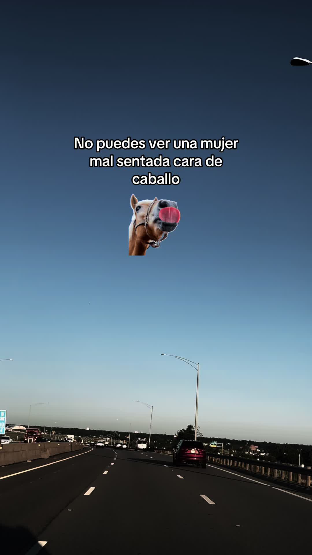 @El Gato503🐈⬛🇸🇻