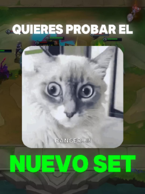 @WizardinyTFT