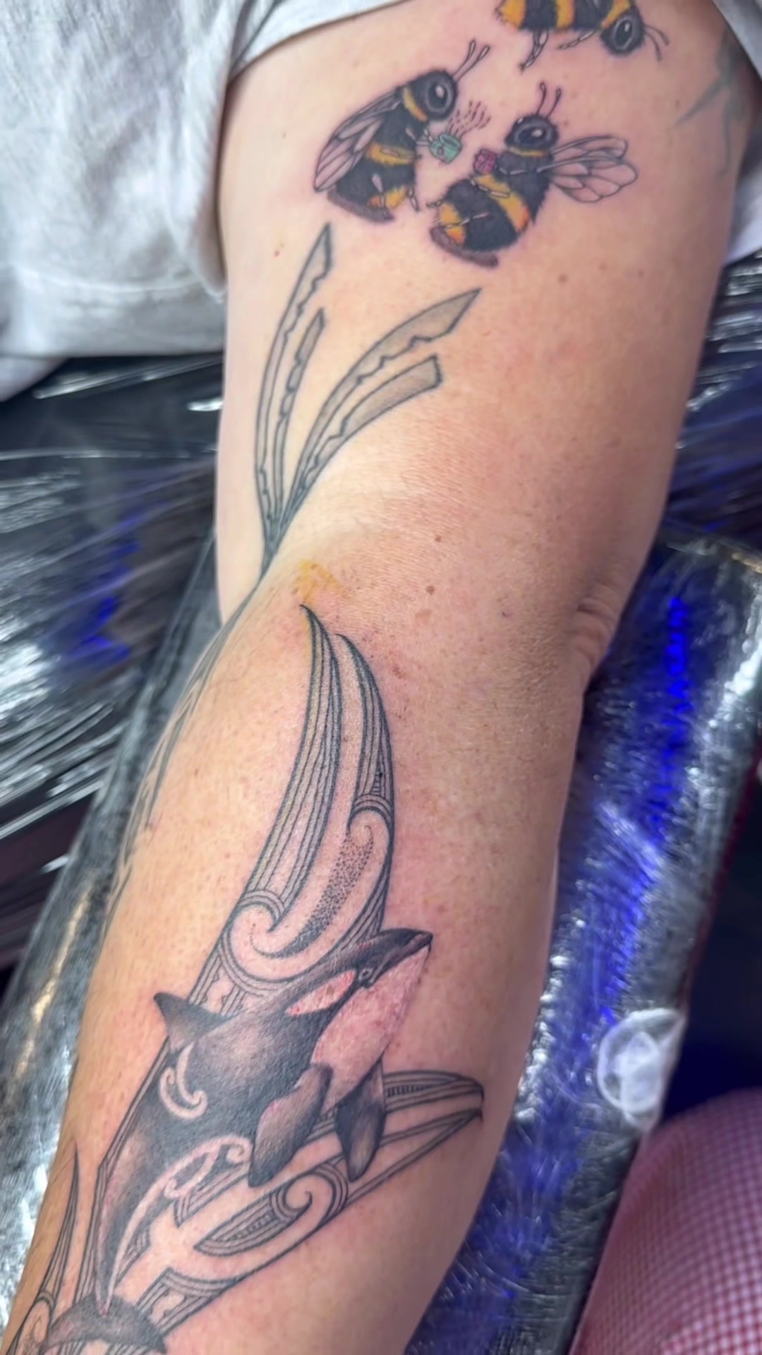 @Apanui.ink