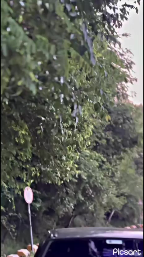 @𝐖 𝐀 𝐋 𝐄 𝐄 𝐃 🏳️
