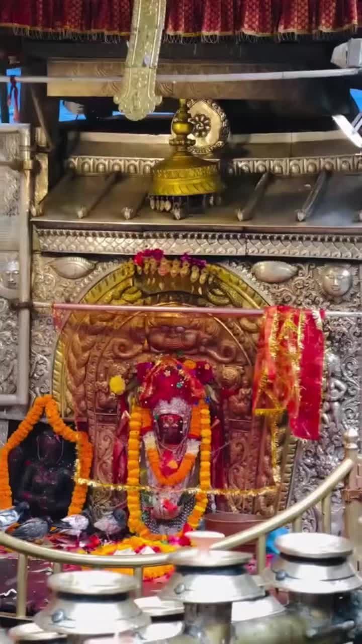 @bhakti.chapagai