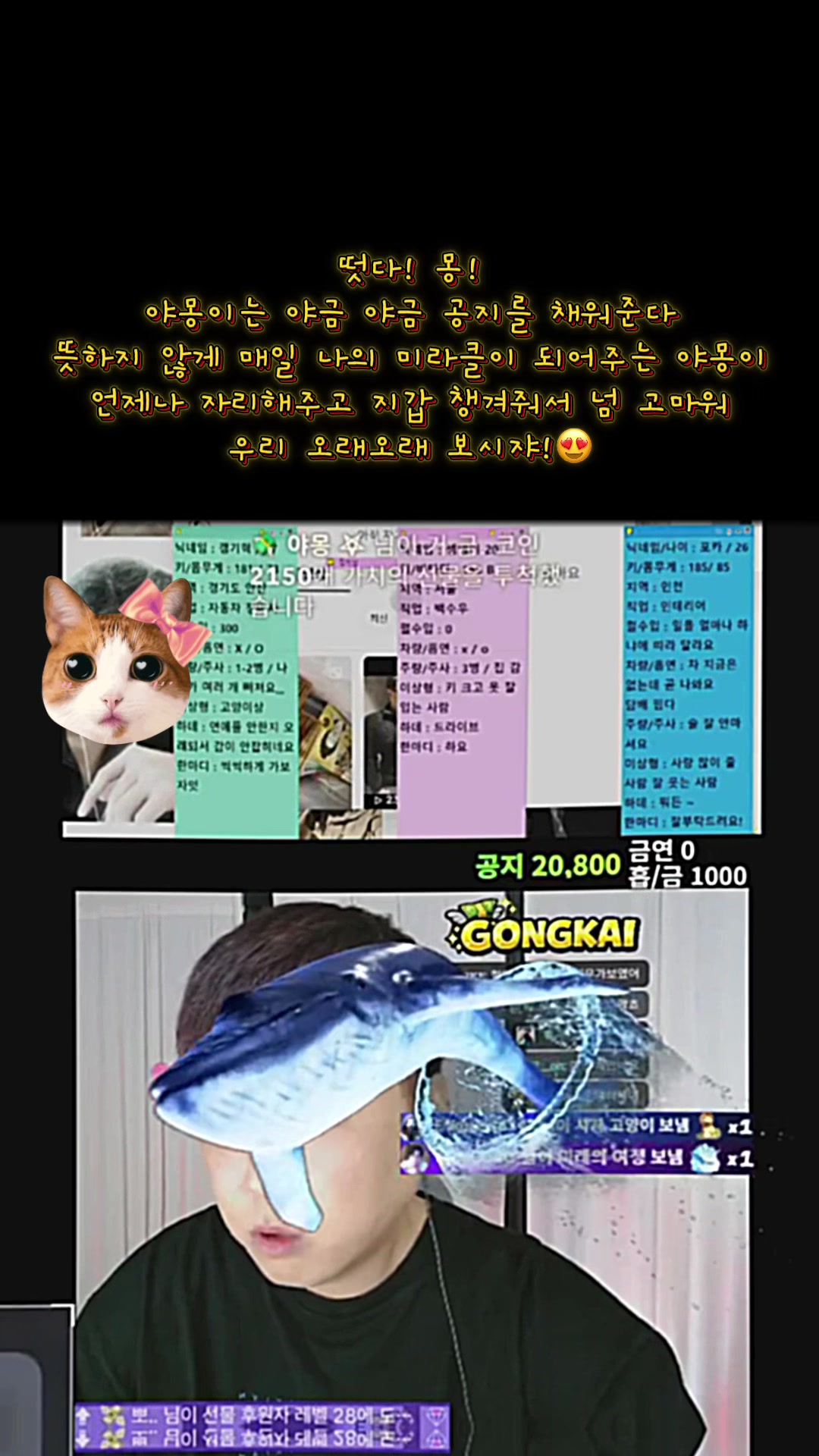 @๐ธ ๊ณต์นด์ด